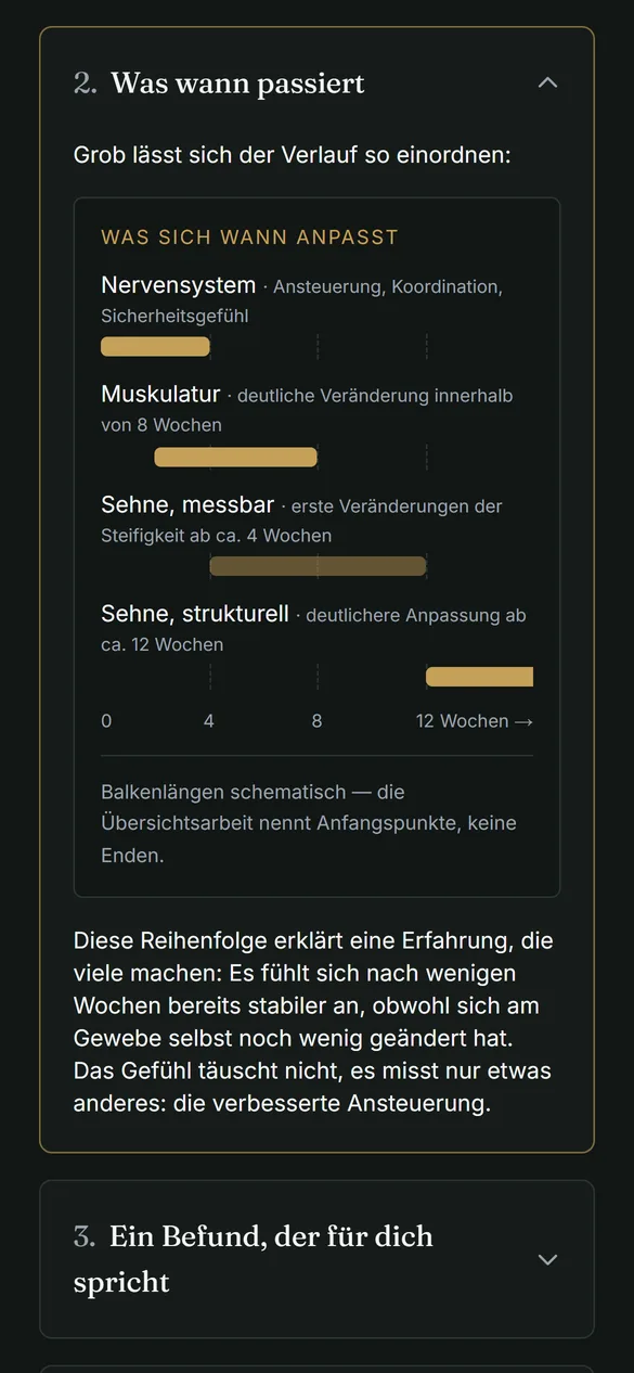 Lektion „Warum es Monate dauert“ mit einer Grafik, wann sich Nervensystem, Muskulatur und Sehne anpassen.